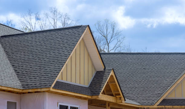 Best Asphalt Shingles Roofing  in Tunnel Hill, GA